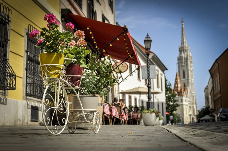 Jeruzsálemi Oroszlános Rend - Avatás I. - 10